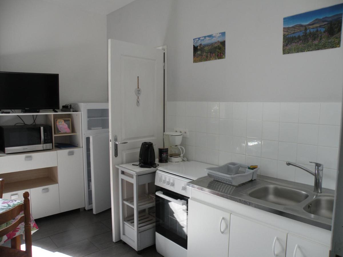 Rose, 4 Pers. Villa Saint Antoine, Orcival, Sancy Esterno foto